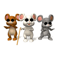 3_blind_mice.gif